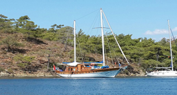 maviyolculuk