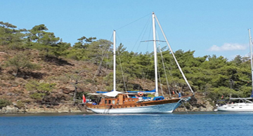 maviyolculuk