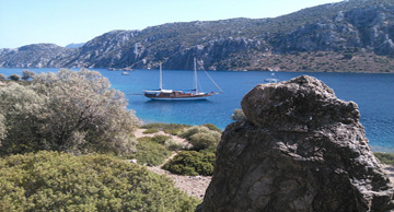 maviyolculuk