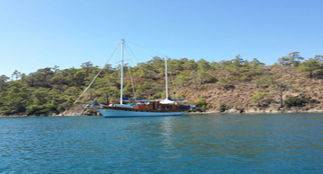 maviyolculuk