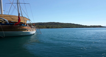 maviyolculuk