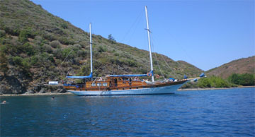 maviyolculuk