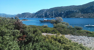 maviyolculuk